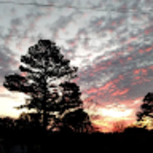 Meet your Posher, Shawna